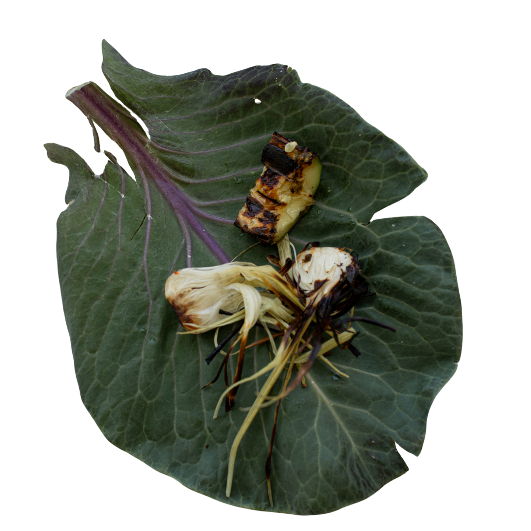 INSTALACIONES / PERFORMANCE